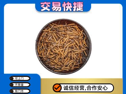 宜宾回收散虫草